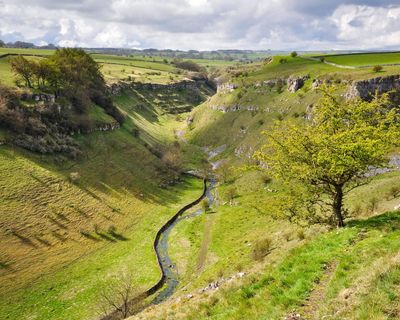 Plan to restore nature in England by 2030 criticised as ‘completely insufficient’