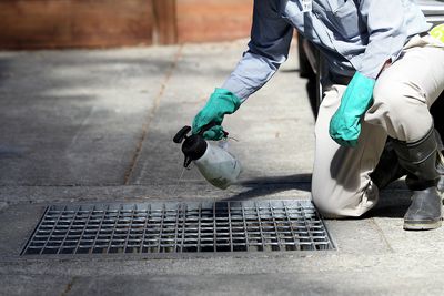 CDC Says West Nile Virus Is Off to Its Earliest Start Since 2004 as Peak Season Approaches