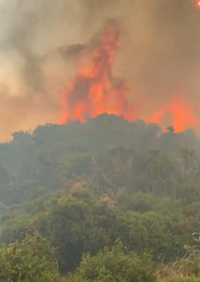 UK Wildfire: Wales wildfire triggers evacuations as Manchester blaze rages; Southern England placed under ‘exceptional’ wildfire risk amid scorching heat