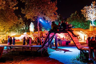 Down the Rabbit Hole review: The best kept secret of European festivals