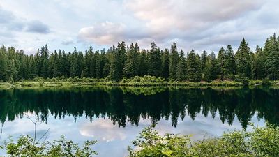 5 lakes with underwater forests: From Clear Lake to Caddo Lake