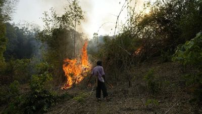 'Whenever biodiversity decays, you decay': French biologist Marc-André Selosse