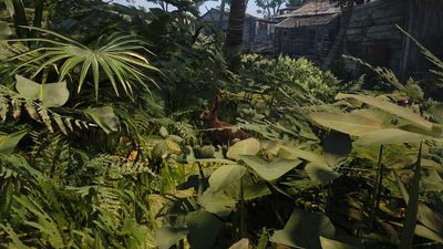 How to get Rabbit Pelt in Assassin’s Creed Black Flag Resynced