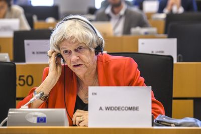 Ann Widdecombe Murder Suspect Re-Arrested for Terror Acts as Investigation Explodes