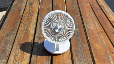 The Dimplex Rechargeable Cordless Desk Fan is a good go-anywhere fan, but you might want to play some music to drown out its drone