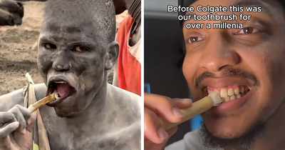 People Are Swapping Toothpaste For African Twig In Search Of A White Smile, Experts Reveal The Truth