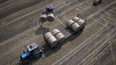Ukraine strikes halt shipping on key wheat route as Russian fuel crisis deepens