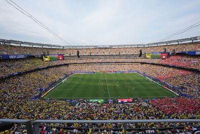 Who will referee the World Cup final?