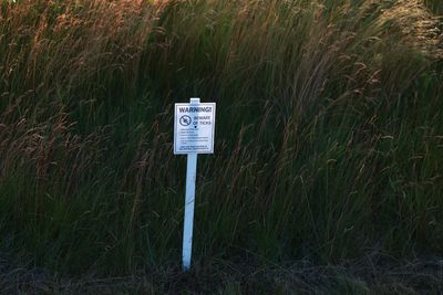 Lyme Disease-Carrying Ticks Have Spread Across Indiana, Illinois, and Ohio, and Now They Are in Suburban Parks and Backyards