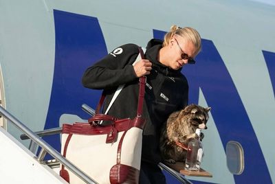 Erling Haaland Leaves World Cup Empty‑Handed After England Defeat: Except For A $750 Stuffed Raccoon