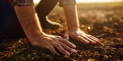 What is no-till farming, and is it actually better for the environment?