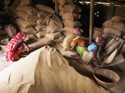 FCI calls media reports of Rs 1,160 crore ethanol rice diversion 'factually incorrect'