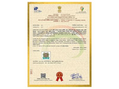 Two of Gujarat's leading Agricultural products, Unjha Cumin and Fennel, receive GI tag