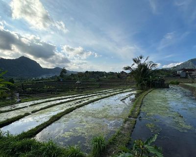 Who is ‘stealing’ Bali’s water? How tourism siphoned off a prized resource