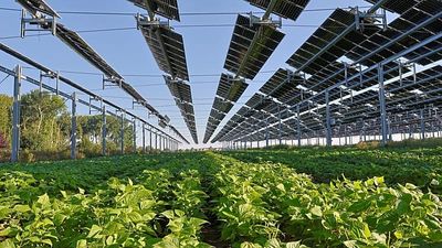 Solar generated record 25% of EU power in June with Germany, Spain and Poland leading the race