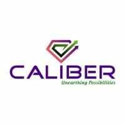 Caliber Mining & Logistics IPO to open on July 17, price band announced