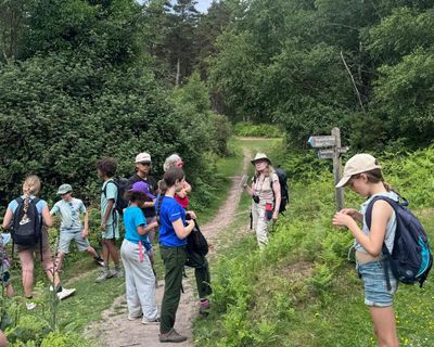 A family group walking holiday in Exmoor: steam trains, tree climbing and lashings of ice-cream
