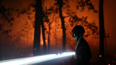 Fifty-nine arrested over French wildfires, as Fontainebleau blaze continues