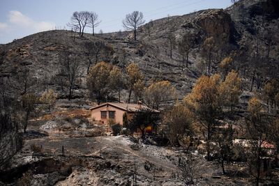 British pensioner fears wife and friends died trying to outrun Spain wildfires