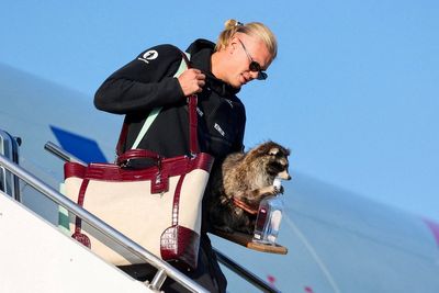 Erling Haaland brings $750 stuffed raccoon back to Norway after World Cup exit