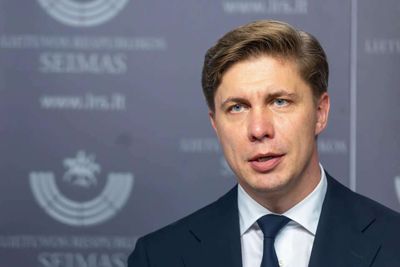 Mindaugas Sinkevicius becomes Lithuania PM after parliament approves manifesto