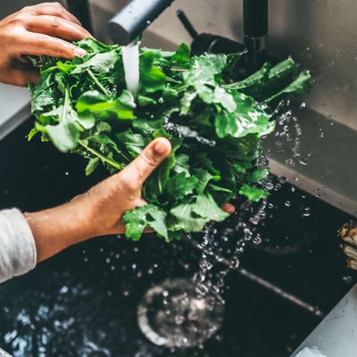 Cyclosporiasis parasite West Virginia outbreak: Is lettuce, green salad behind the surge in 'explosive diarrhea' cases as Michigan tops 2,600 infections?