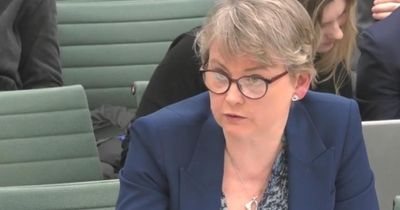 Yvette Cooper admits UK too slow on Gaza ... but won't commit to further action