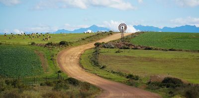Will El Niño drought hit food prices in South Africa? Earlier rains and grain stocks offer hope