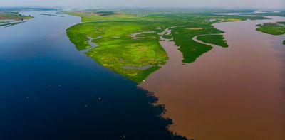 Lakes that ‘breathe’ ancient carbon: a surprising find in the Congo Basin