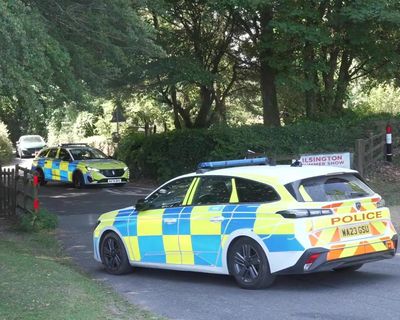 Ann Widdecombe killing: police investigating possible leftwing motivation