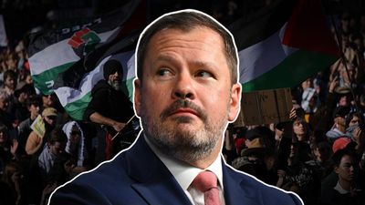 Labor MP blasts party's 'fear and loathing' over Gaza