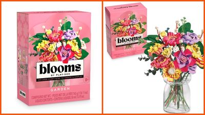 Hasbro brings Play-Doh to adult crafters with DIY floral kits from $25