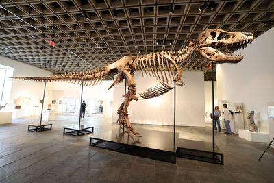 ‘Gus’ the T. rex becomes most expensive dinosaur fossil ever sold for $50M