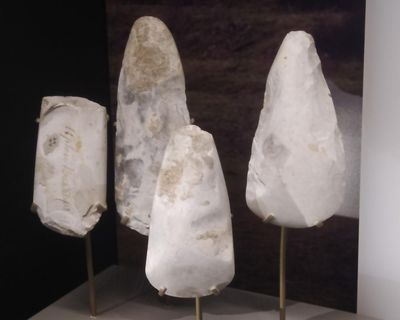 Ancient DNA analysis reveals Wiltshire’s Upton Lovell Shaman was a woman