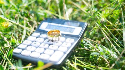 I'm a Wealth Adviser: This Divorce Memoir Describes Painful Financial Mistakes I See All the Time — Here's How You Can Avoid Them