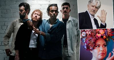 Why the 2026 NightFest lineup is being called its strongest ever