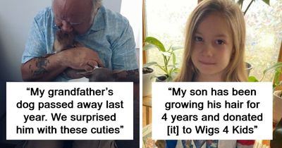 If You Struggle To See Good In The World, Here Are 88 Wholesome Posts To Remind You What Matters Most