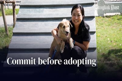 Bangkok shelter urges long-term commitment amid surge in dog adoptions