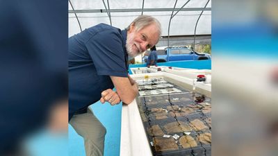 Meet Ken Nedimyer: The driver who turned a backyard into a global coral restoration movement