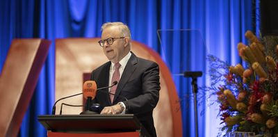 Australia wants to ‘manage’ AI. What will that look like?