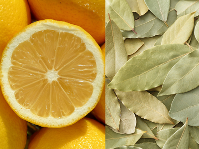 Science behind boiling lemon peels with bay leaves: What studies say about this popular practice and its benefits