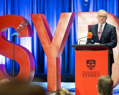‘Not up for grabs’: Albanese establishes AI office and vows to protect Australian creatives from copyright ‘theft’