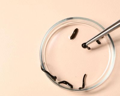 Hidden Creatures by Dino Martins review – the revolting world of parasites