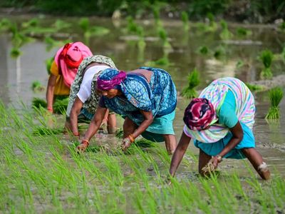 Skill shortage could derail India's bio-input ambitions: Agriculture Commissioner