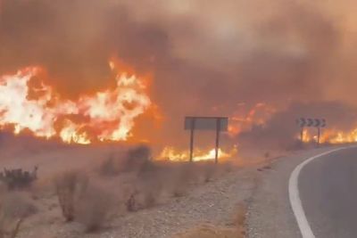 Seven British nationals killed in Spanish wildfires, police say
