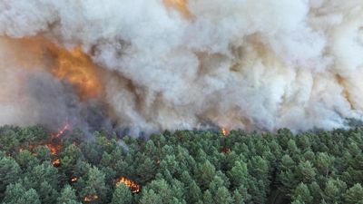 Firefighters tackle flare-ups in Fontainebleau forest after reining in blaze
