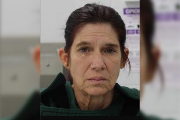 Pennsylvania woman arrested as girl, 8, found in car suffering seizure after ‘drinking bleach’