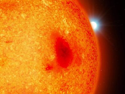Scientists discover four new stars right next to Earth: White dwarfs were hiding behind brighter red dwarfs; discovery made using Hubble's ultraviolet camera