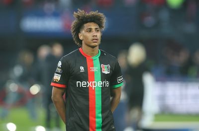 Sunderland repeat Robin Roefs transfer with France international signing close