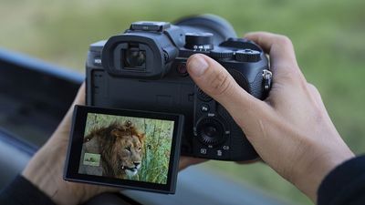 After 9 years, Sony has proven once again why cameras still matter